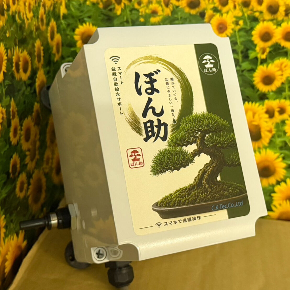 盆栽のお世話が楽になりました✨
