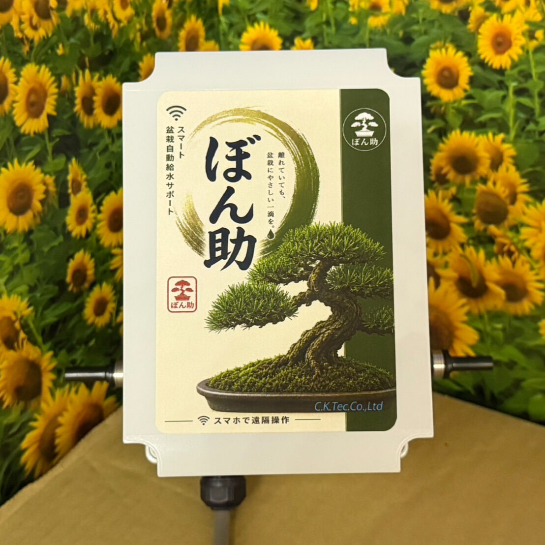 盆栽のお世話が楽になりました✨